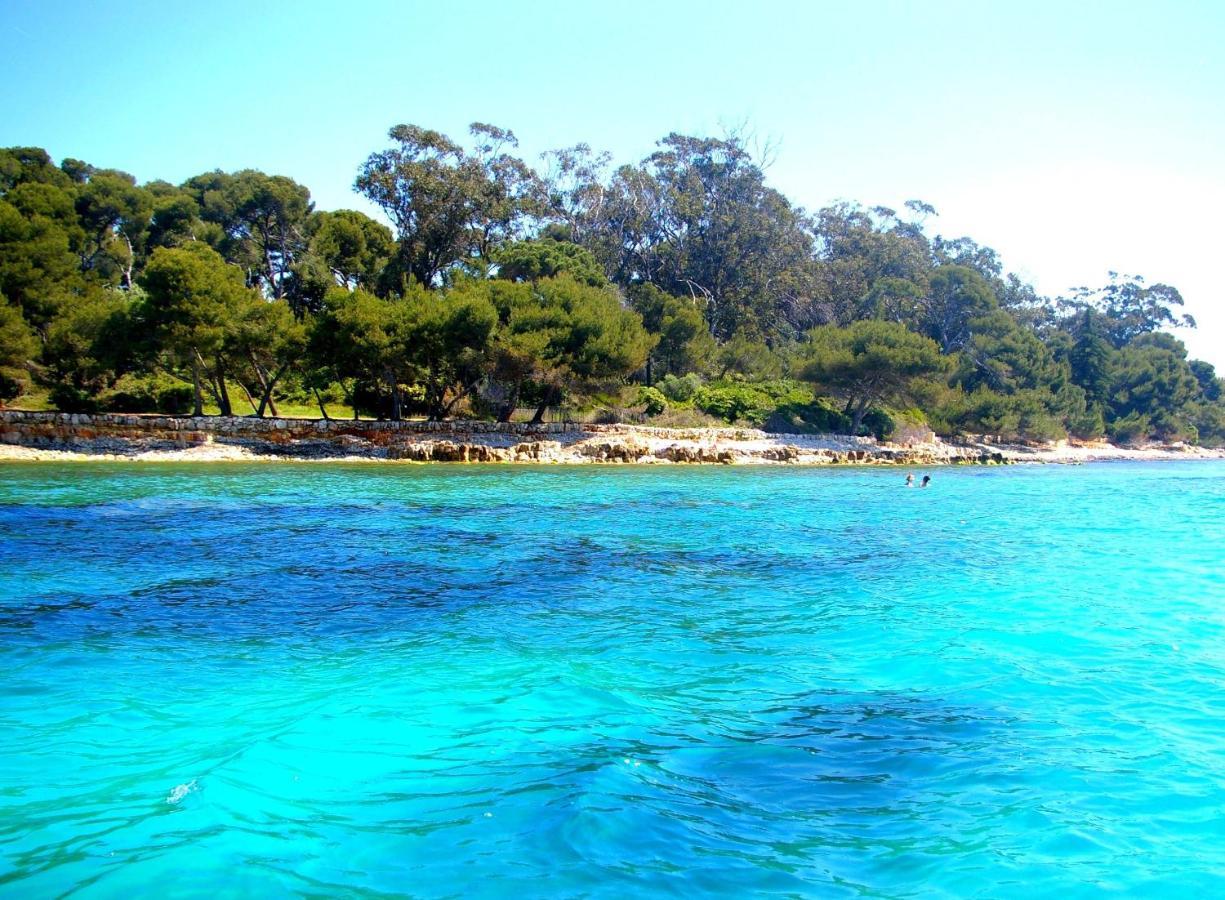 Magnifique "Gite De La Garoupe" Au Cap D'Antibes A 300M Des Plages Exterior photo